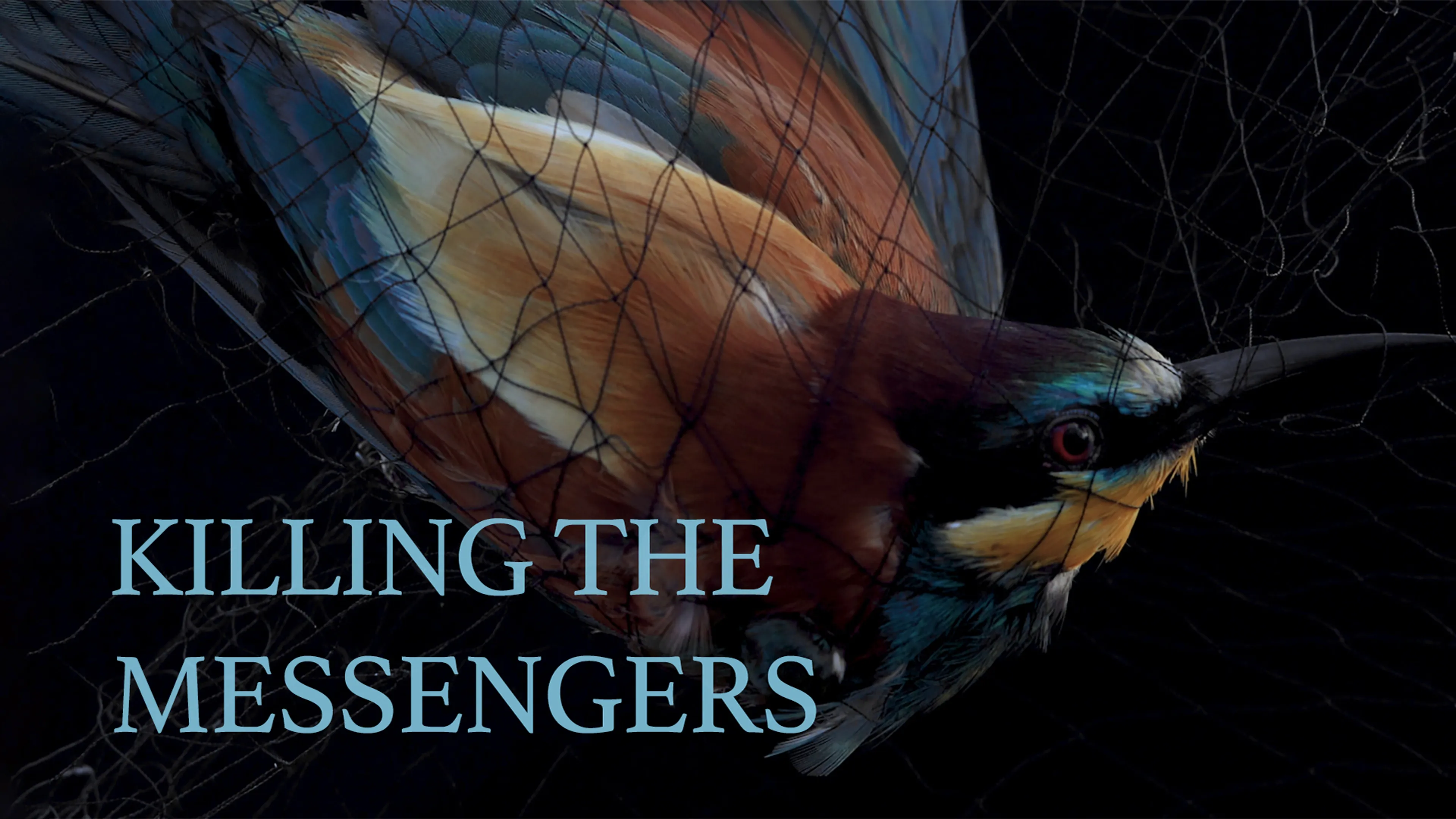 Killing the Messengers poster